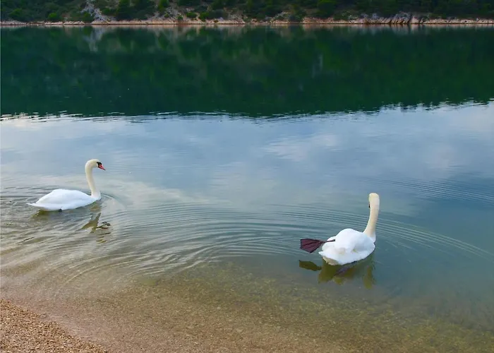 Bajan 545 3* Jadrtovac